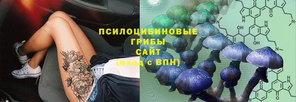 прущий лед Абдулино