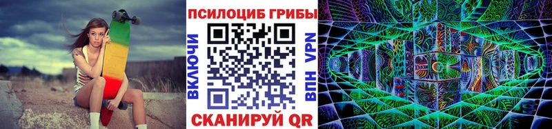 как найти закладки  Сухиничи  Галлюциногенные грибы мухоморы 